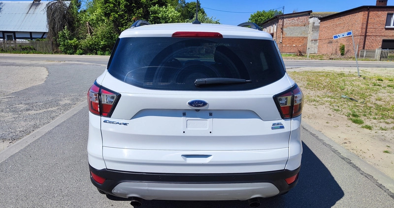 Ford Kuga cena 51900 przebieg: 130695, rok produkcji 2018 z Krasnobród małe 121